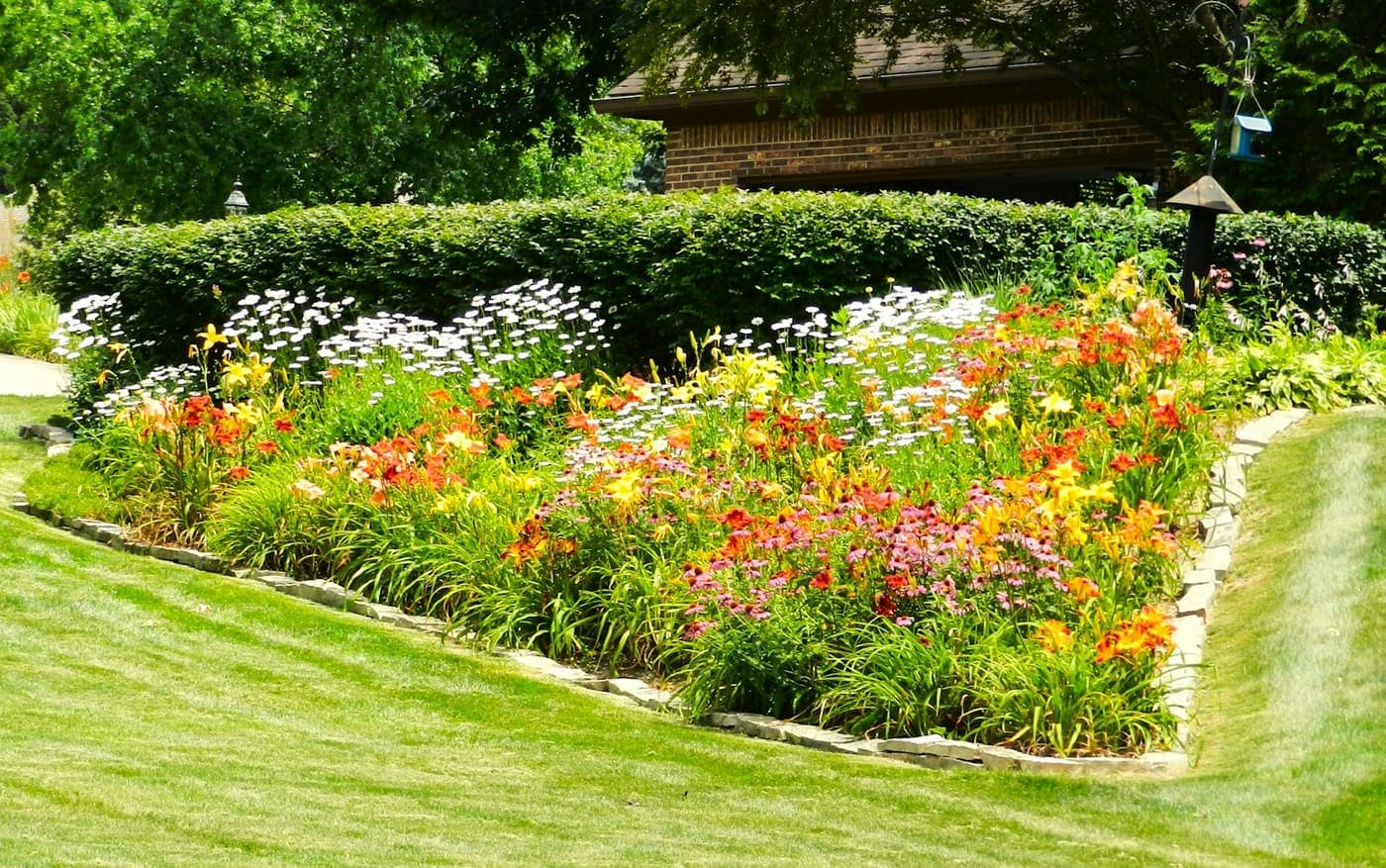 Planting & garden design