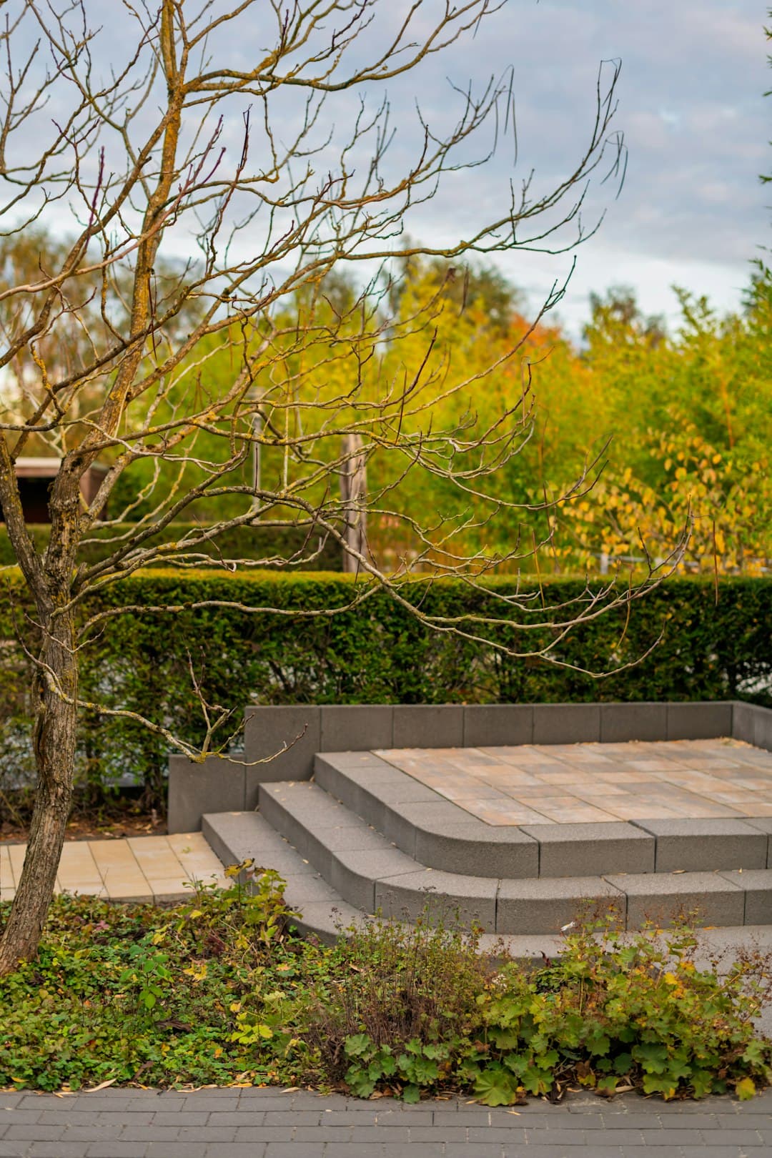 Curved paver steps leading up to a landscaped patio